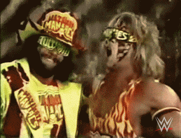 RANDY SAVAGE YES